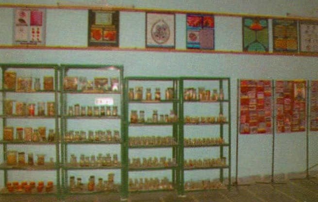 College of Veterinary Science and Animal Husbandry Banaskantha Campus photo 7